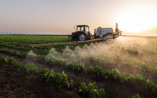 Best Mosquito Control Services  in Boulevard Park, WA