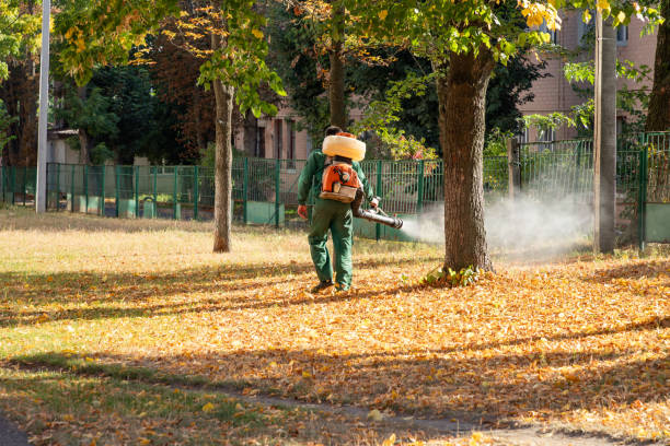 Best Pest Control Near Me  in Boulevard Park, WA