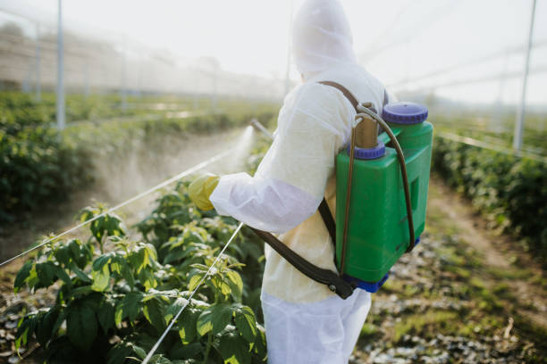 Boulevard Park, WA Pest Control Company